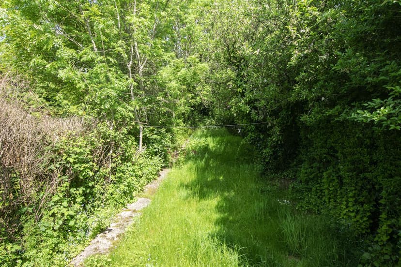 64, Reservoir Road - Image 25