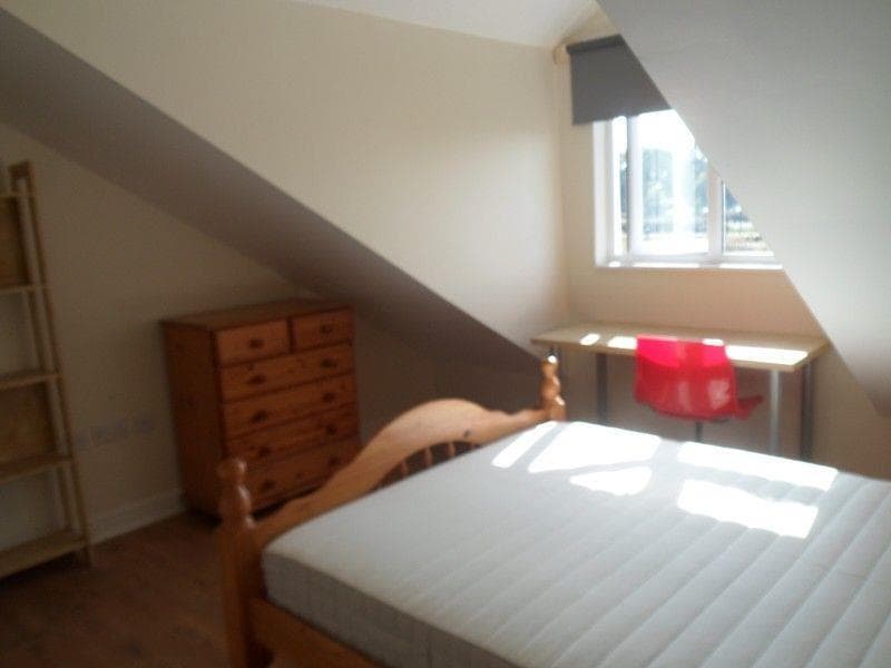 17, Heeley Road - Image 6