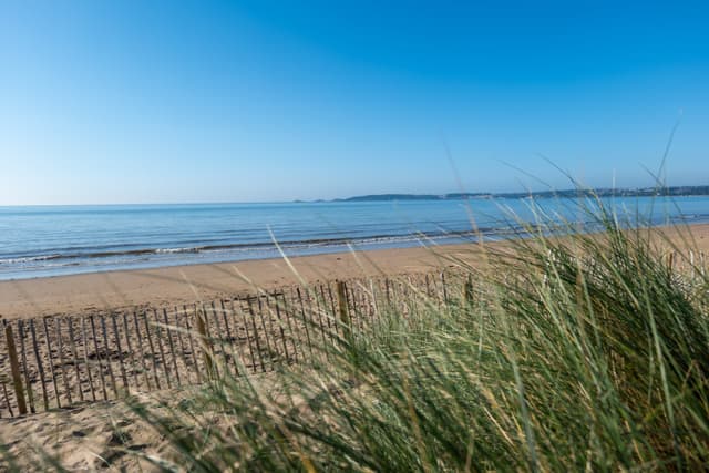 81 Western Street - Image 11