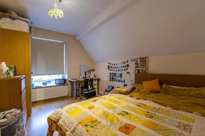 2, 191 Richmond Road - Image 8