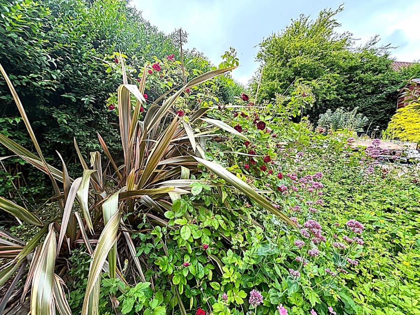 57 Dorchester Road - Image 5