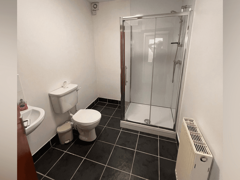 Bryn Road, Brynmill, Swansea - Image 5