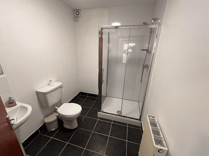 Bryn Road, Brynmill, Swansea - Image 7