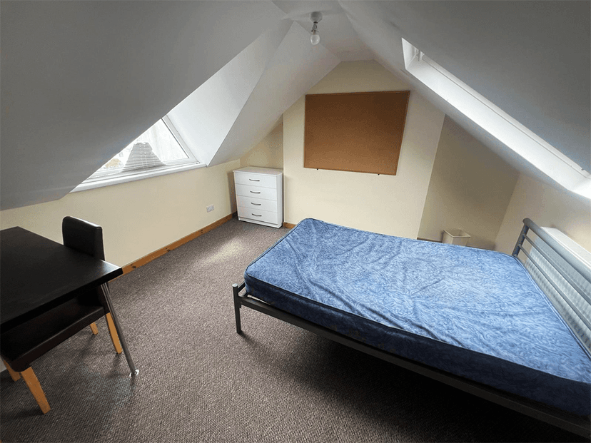 Hawthorne Avenue, Uplands, Swansea - Image 6