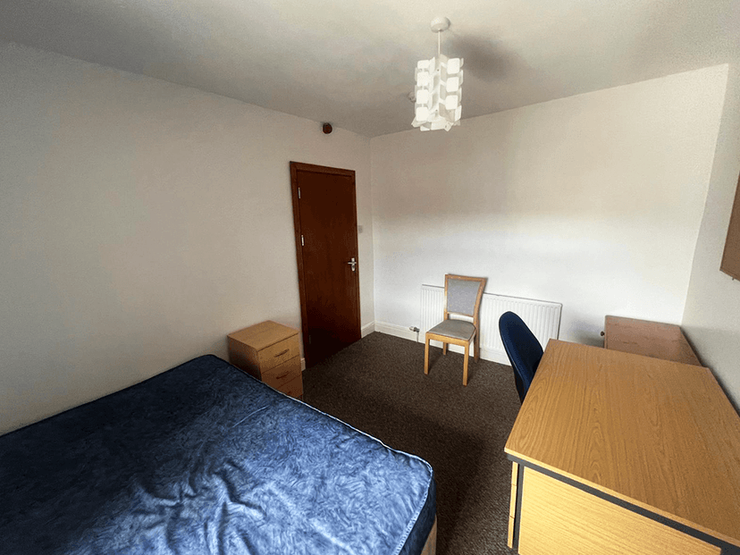 Victoria Terrace, Swansea - Image 8
