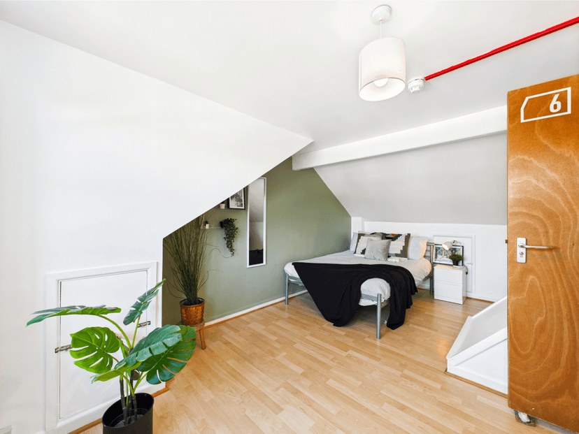 21 Waterloo Place  Brynmill Swansea SA2 0DE - Image 12