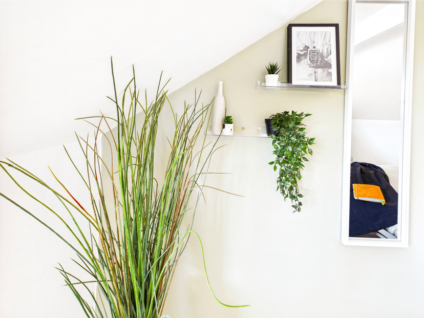 21 Waterloo Place  Brynmill Swansea SA2 0DE - Image 15