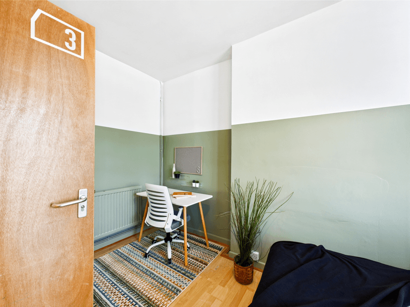 21 Waterloo Place  Brynmill Swansea SA2 0DE - Image 29