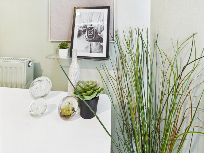 21 Waterloo Place  Brynmill Swansea SA2 0DE - Image 34