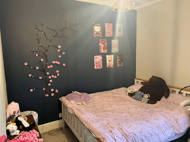 16 Bryn Road, Brynmill, Swansea - Image 4