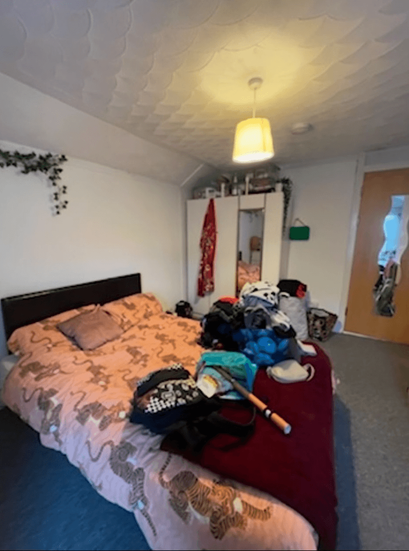 119 Rhyddings Terrace, Brynmill, Swansea - Image 4