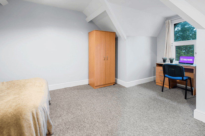 Saint Helen's Avenue, Swansea - Image 17