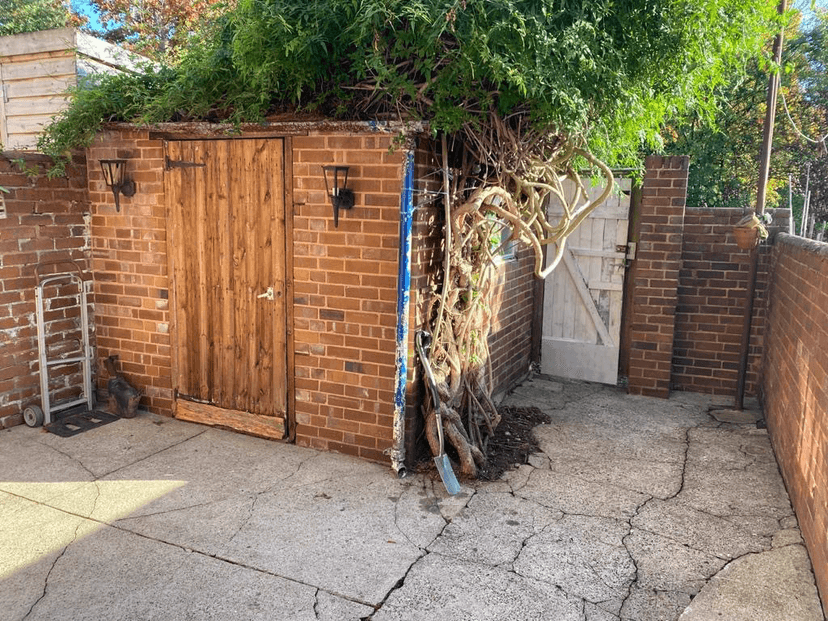 91 Ladysmith Road, Exeter, EX1 - Image 9