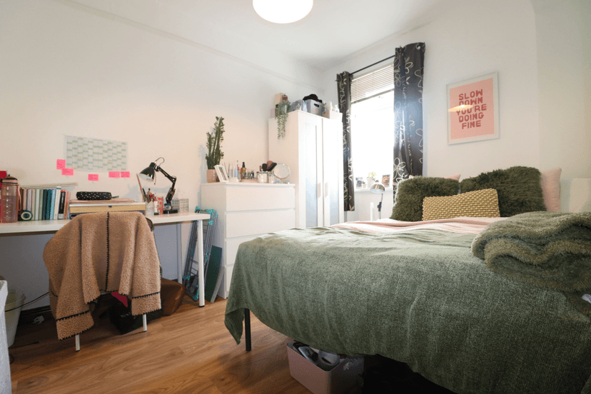 Harriet Street, Cathays, Cardiff - Image 9