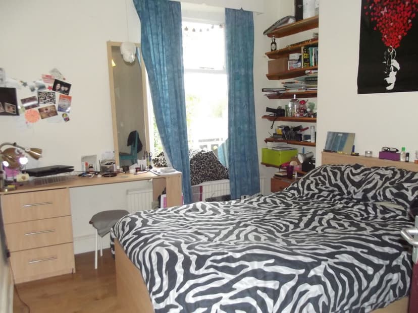 Park Range - Image 8