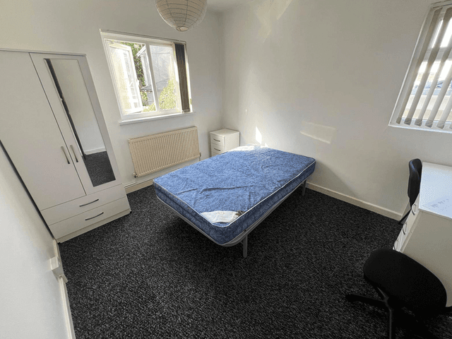 Saint Helen's Road, Swansea - Image 4