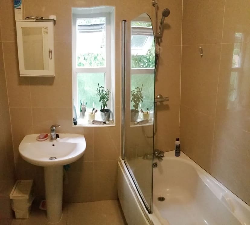 Park Range - Image 9