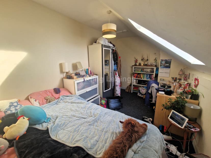 BLENHEIM ROAD - Image 12