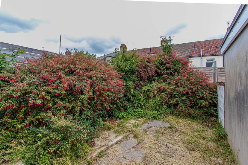 48 Daniel Street - Image 12