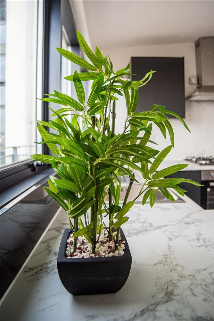 New 164C Derby Road - Image 20