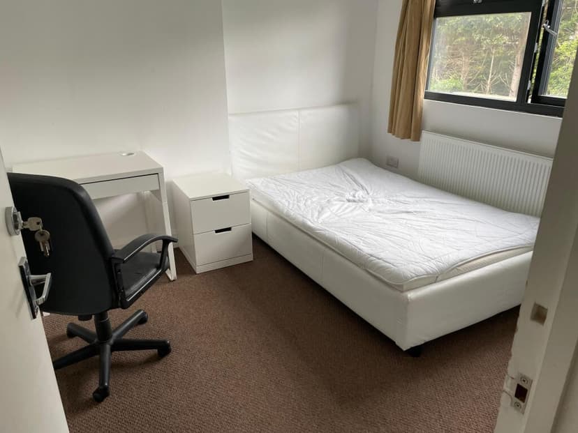 Hollingdean Terrace - Image 2