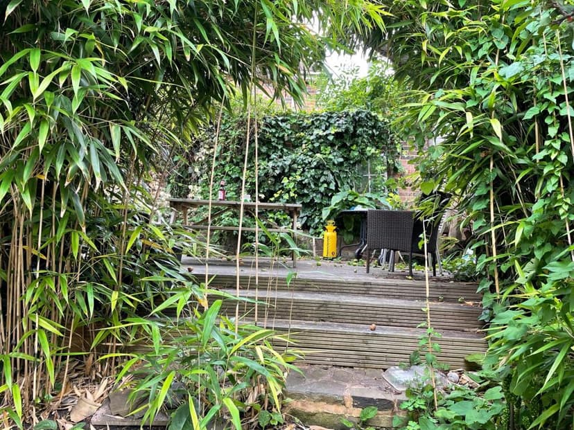 Hollingdean Terrace - Image 3